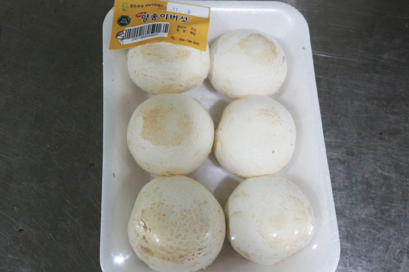 양송이버섯