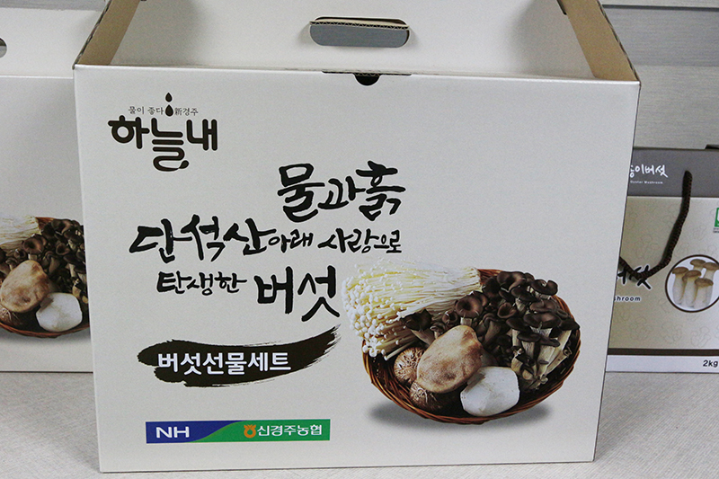 버섯 선물세트