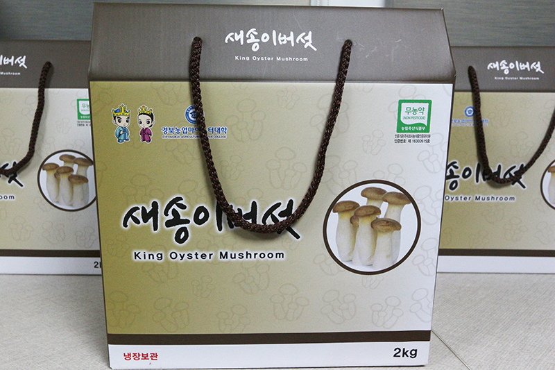 새송이버섯 선물박스