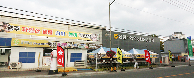 경주버섯 이미지