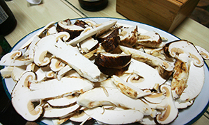 송이버섯