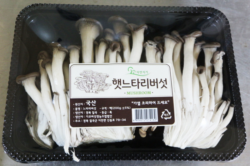 느타리버섯